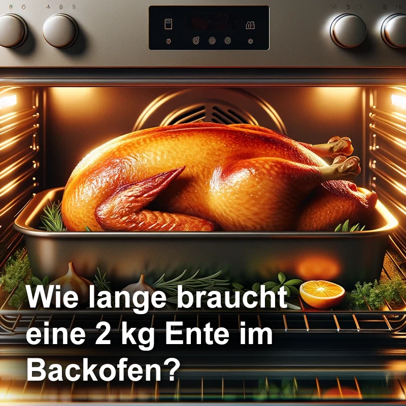 Garzeit einer Ente